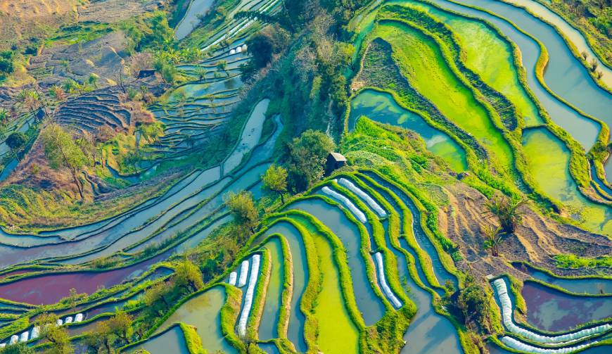 走进荣县TVC拍摄：解锁本地化场景与创意镜头的完美融合